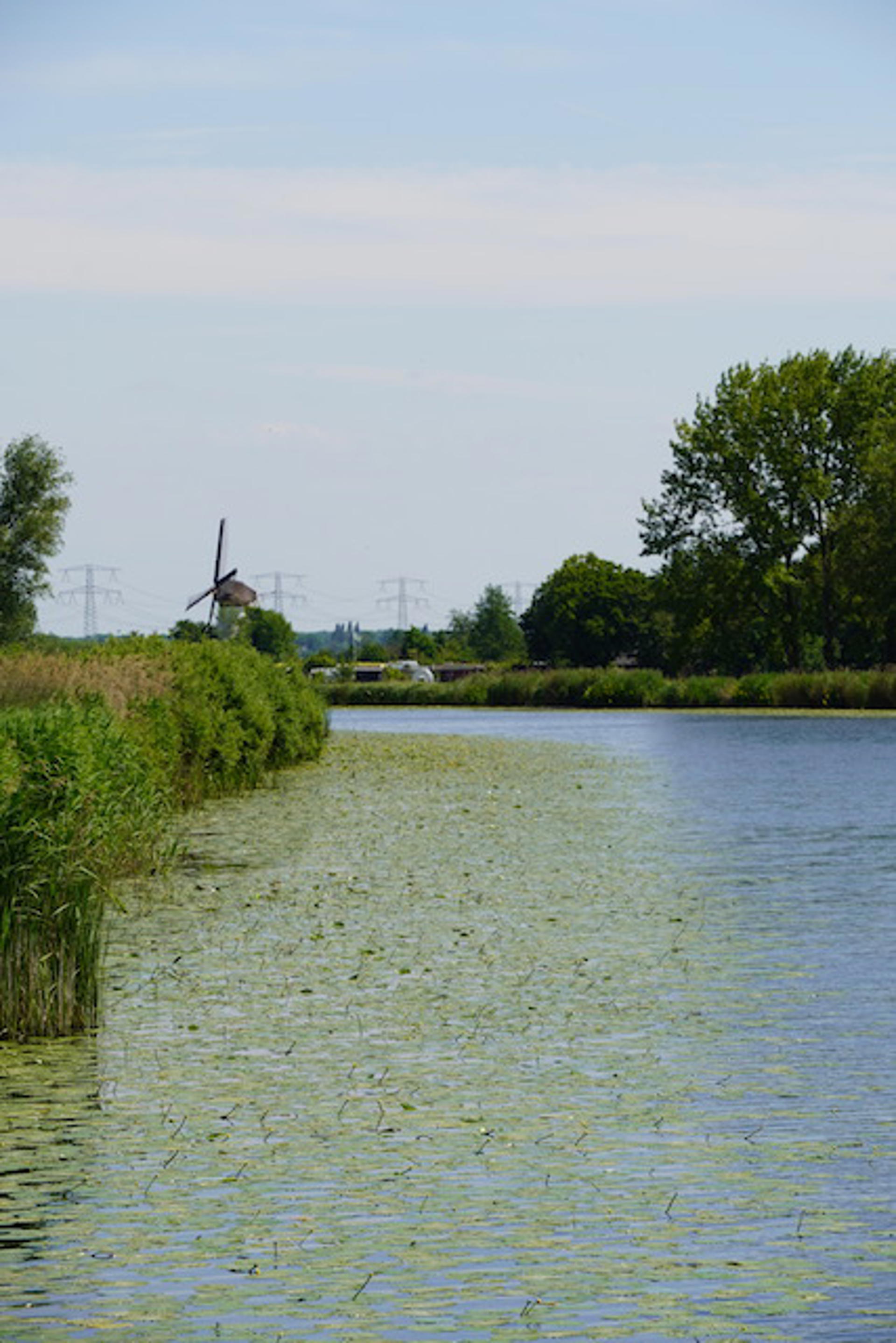 Afbeelding bij het weerbericht van donderdag 22 mei 2025.