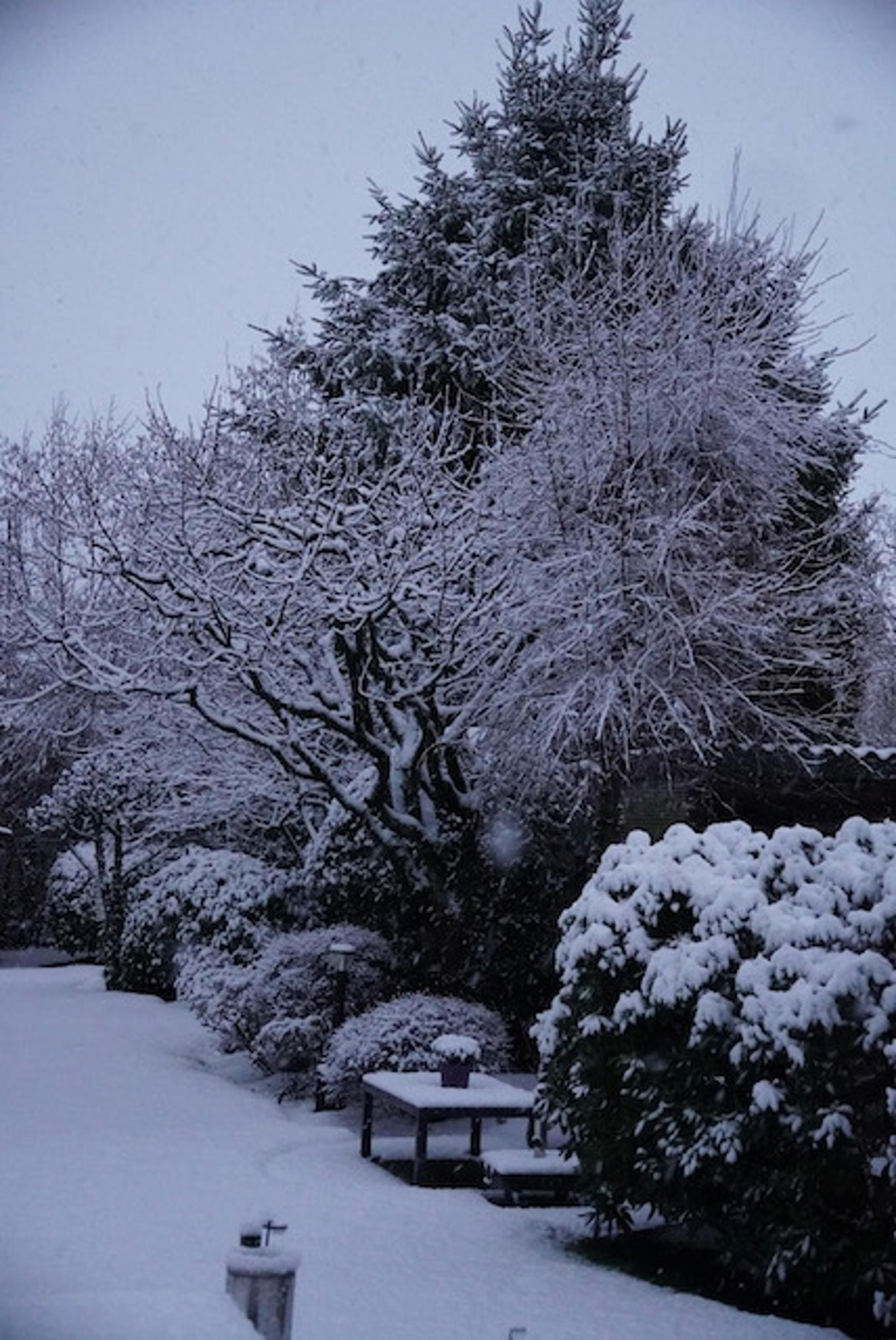 Afbeelding bij het weerbericht van maandag 5 januari 2026.