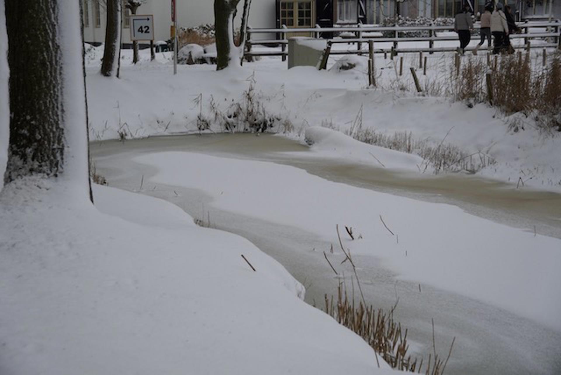 Afbeelding bij het weerbericht van vrijdag 9 januari 2026.