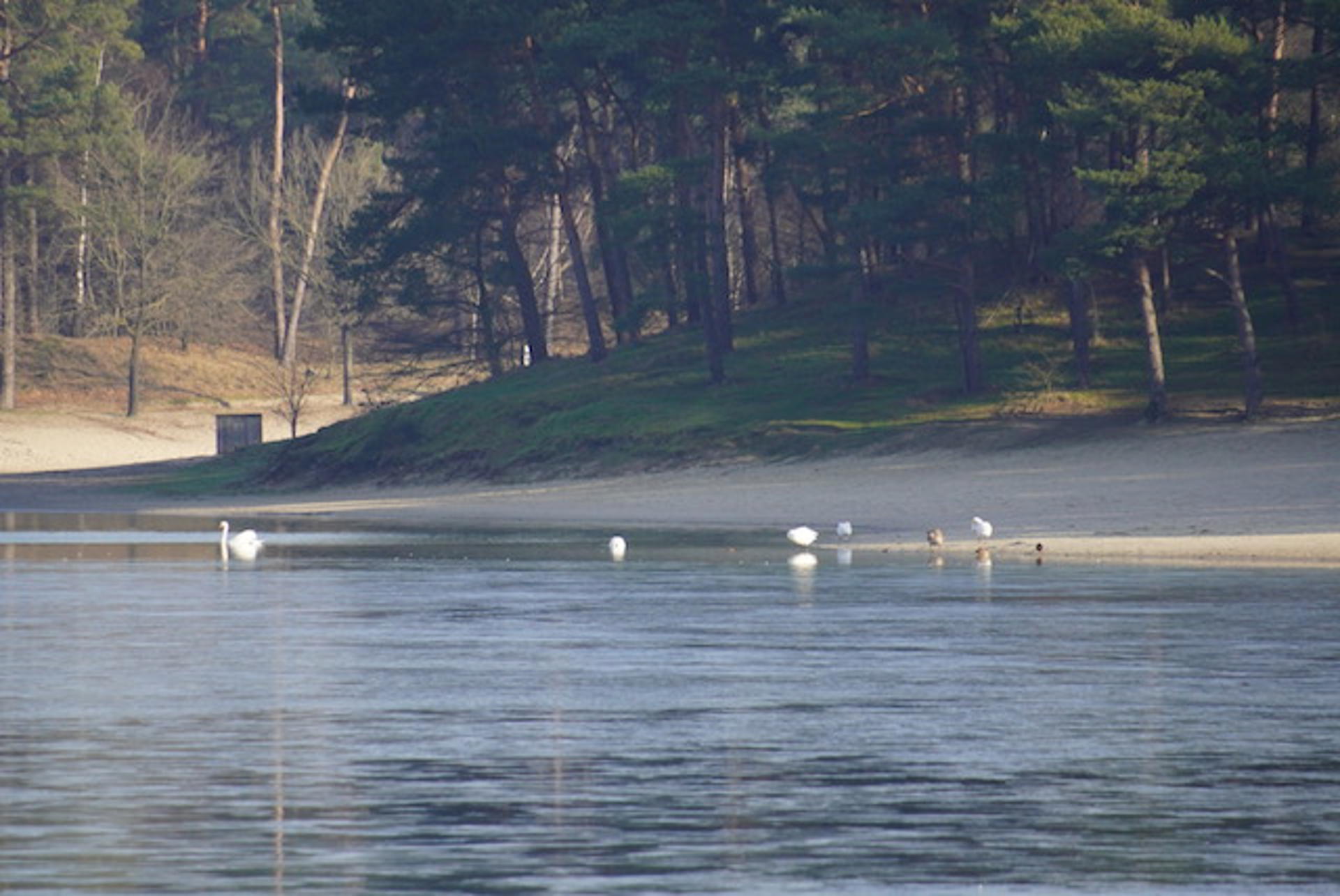 Afbeelding bij het weerbericht van vrijdag 23 januari 2026.