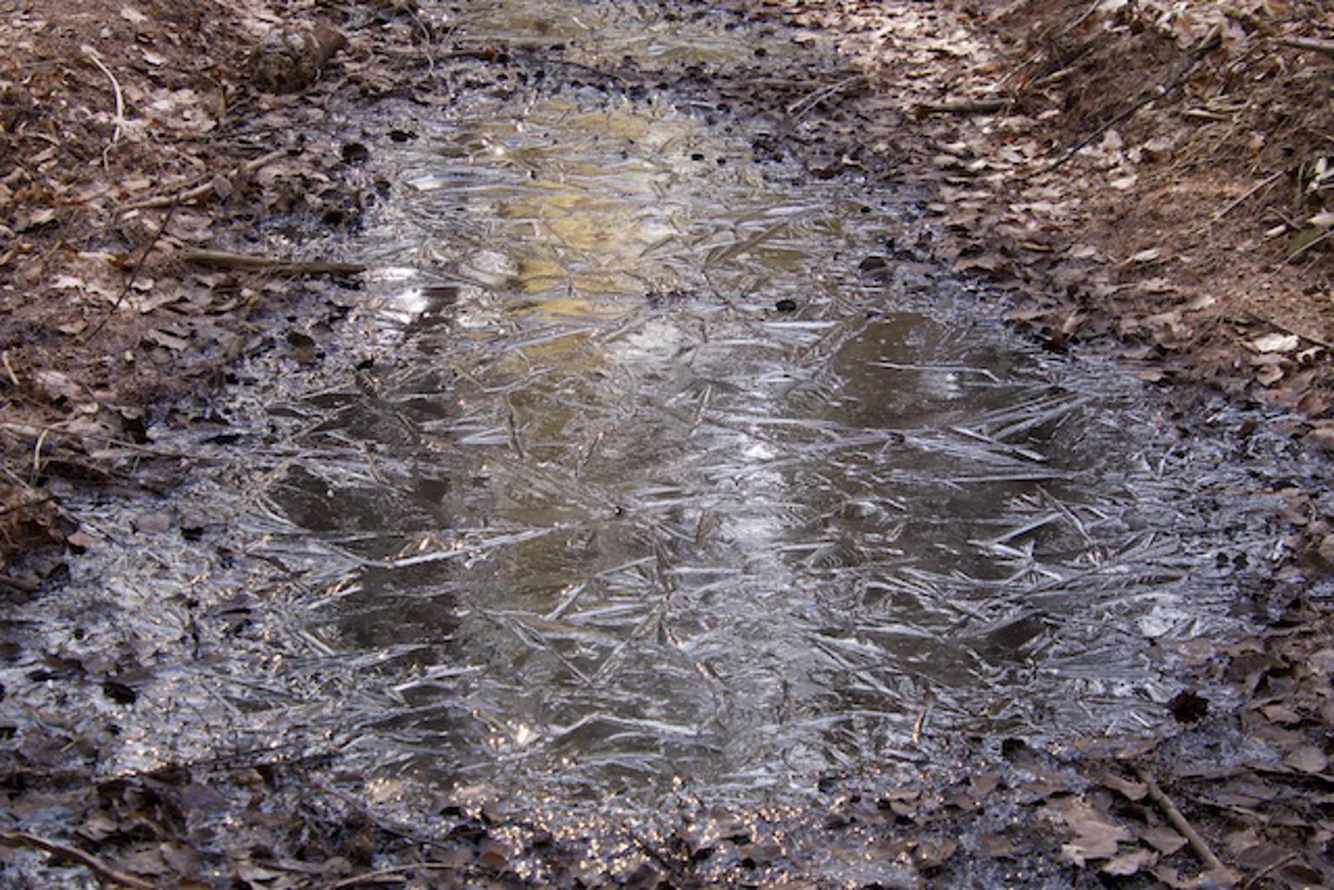 Afbeelding bij het weerbericht van maandag 26 januari 2026.