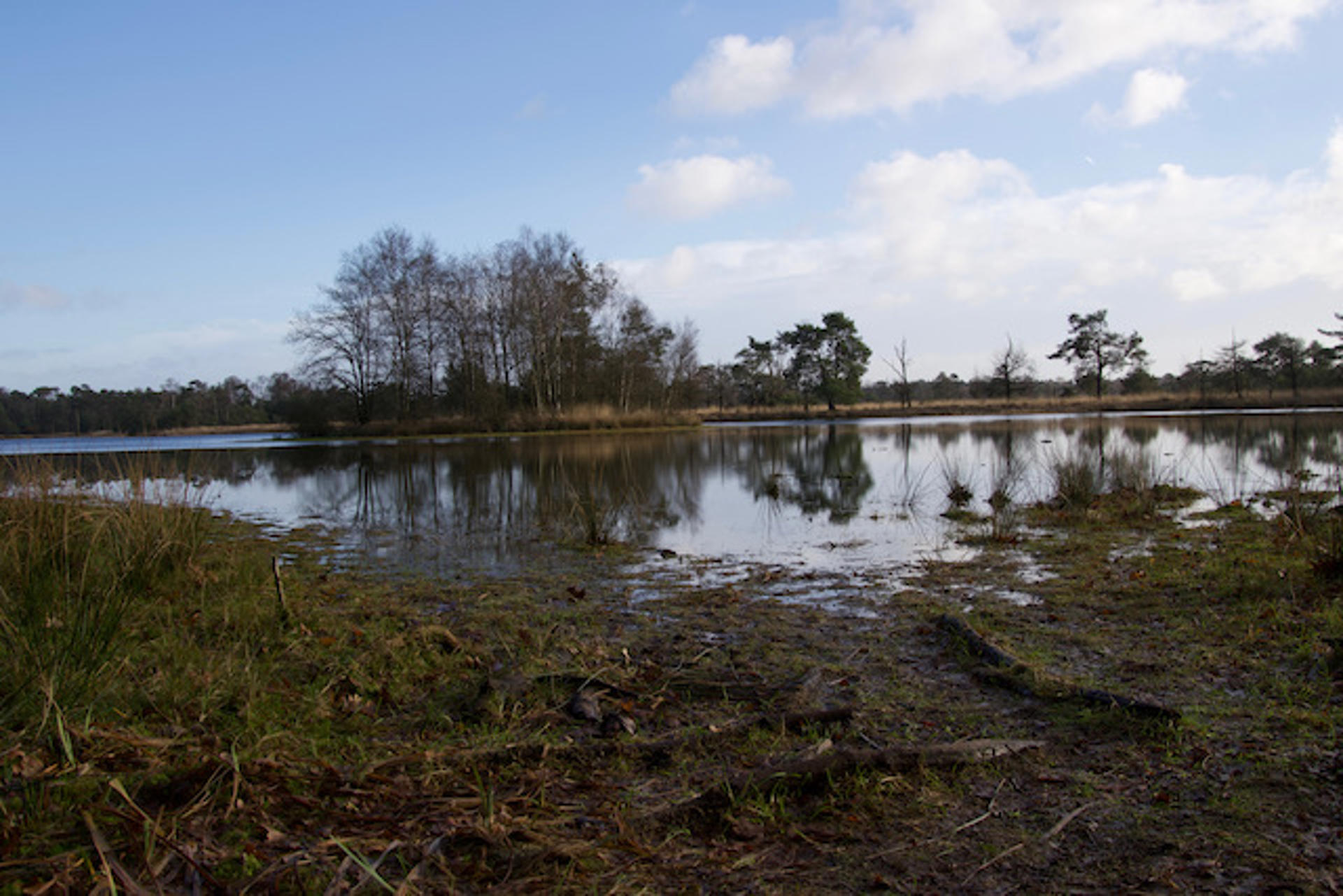 Afbeelding bij het weerbericht van zaterdag 7 februari 2026.