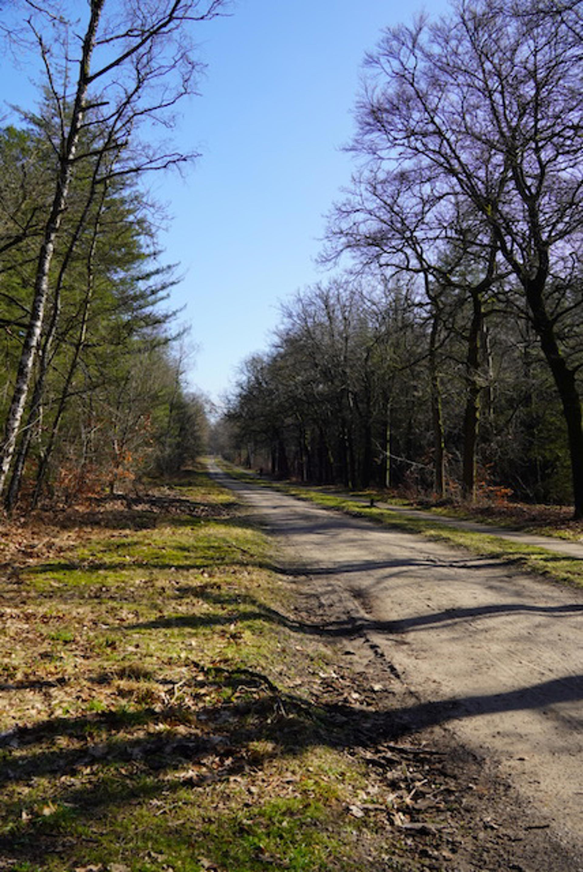 Afbeelding bij het weerbericht van donderdag 26 februari 2026.