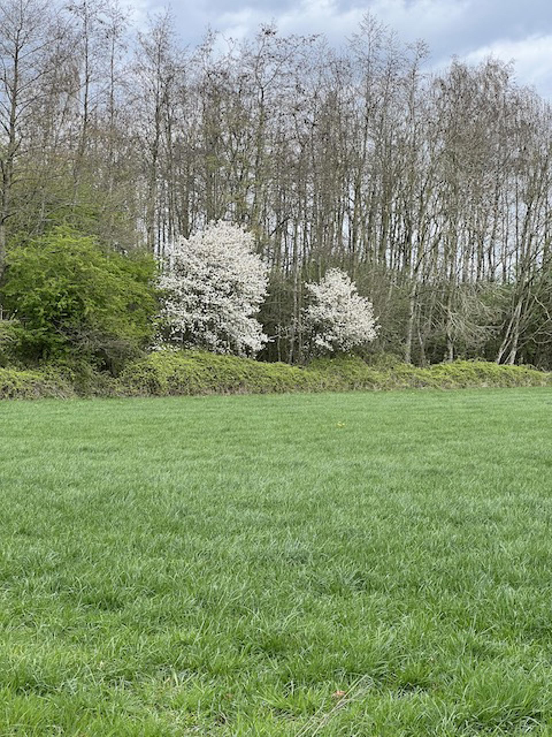 Afbeelding bij het weerbericht van woensdag 8 april 2026.