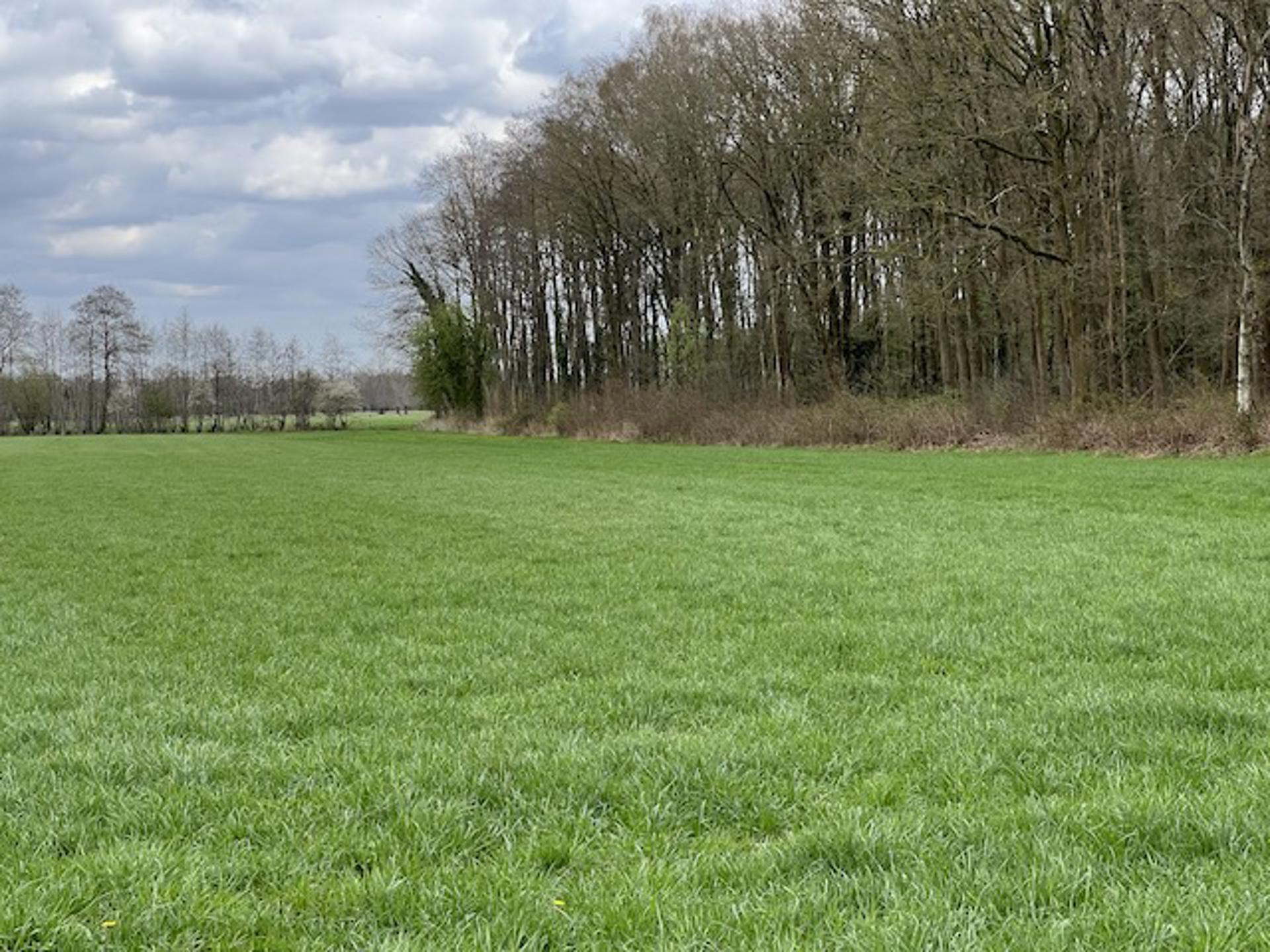 Afbeelding bij het weerbericht van donderdag 9 april 2026.