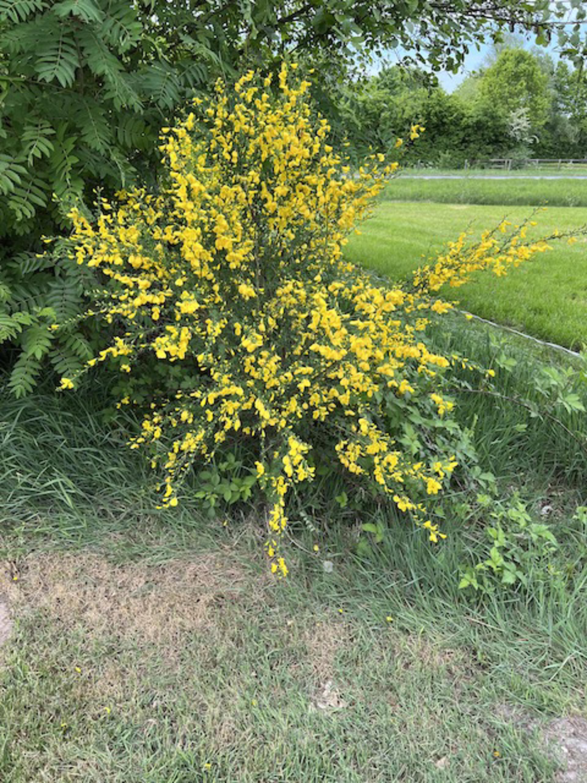 Afbeelding bij het weerbericht van zaterdag 18 april 2026.