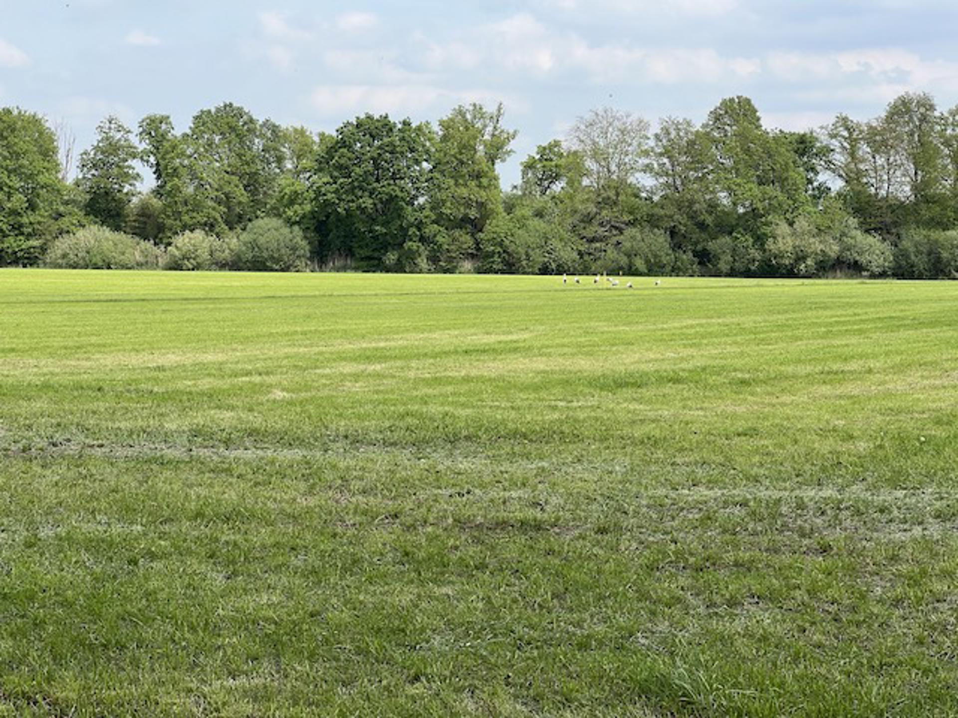 Afbeelding bij het weerbericht van maandag 11 mei 2026.