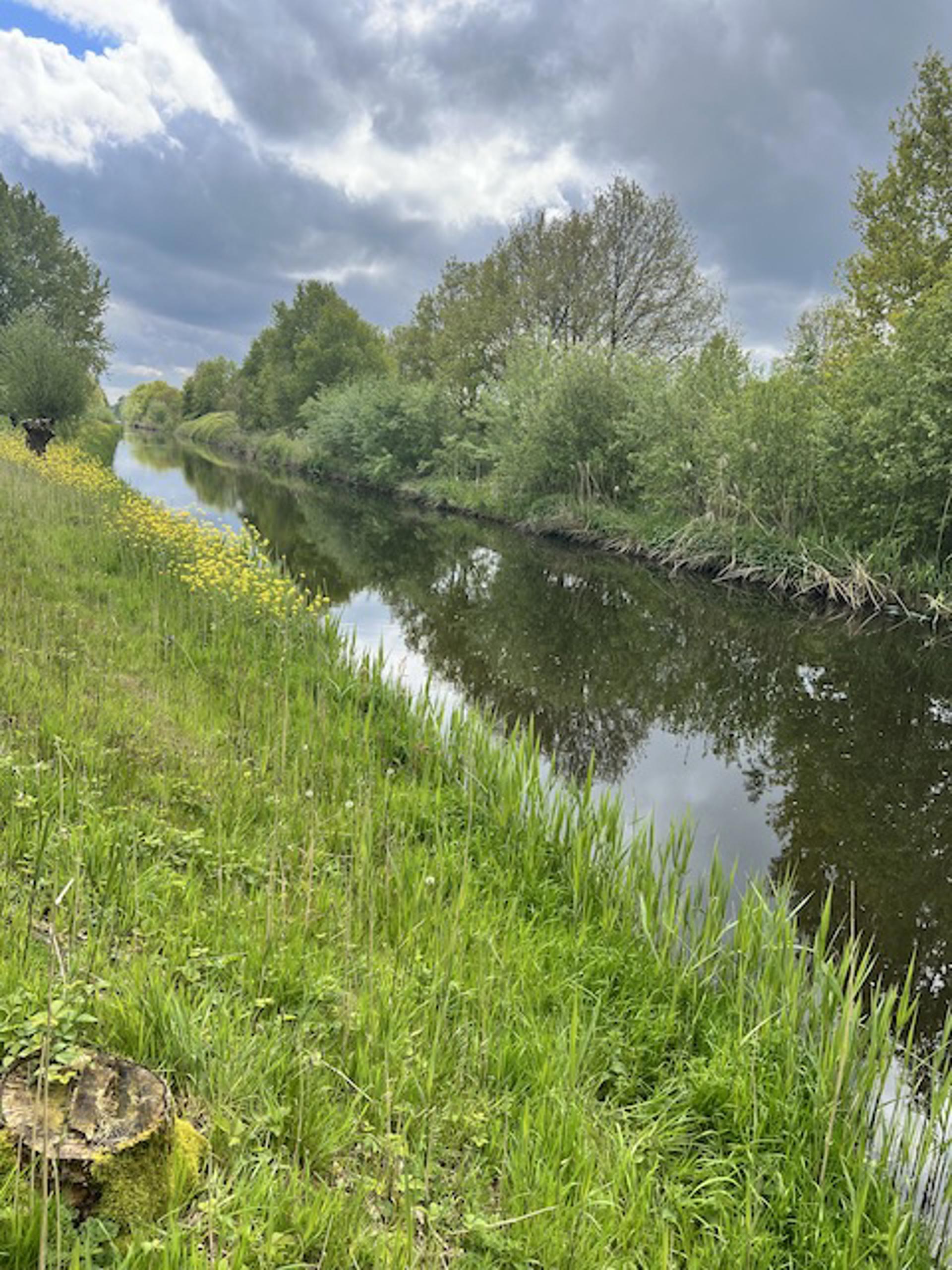 Afbeelding bij het weerbericht van zaterdag 16 mei 2026.