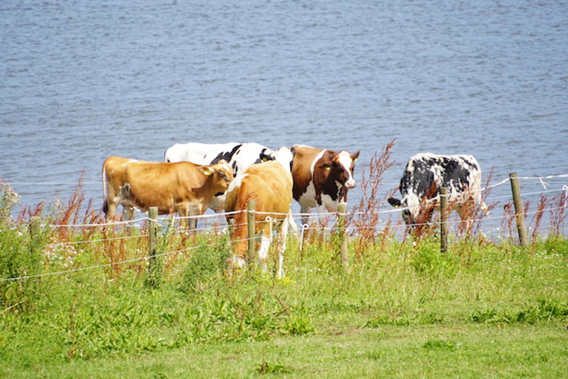 Afbeelding bij het weerbericht van maandag 6 juli 2026.
